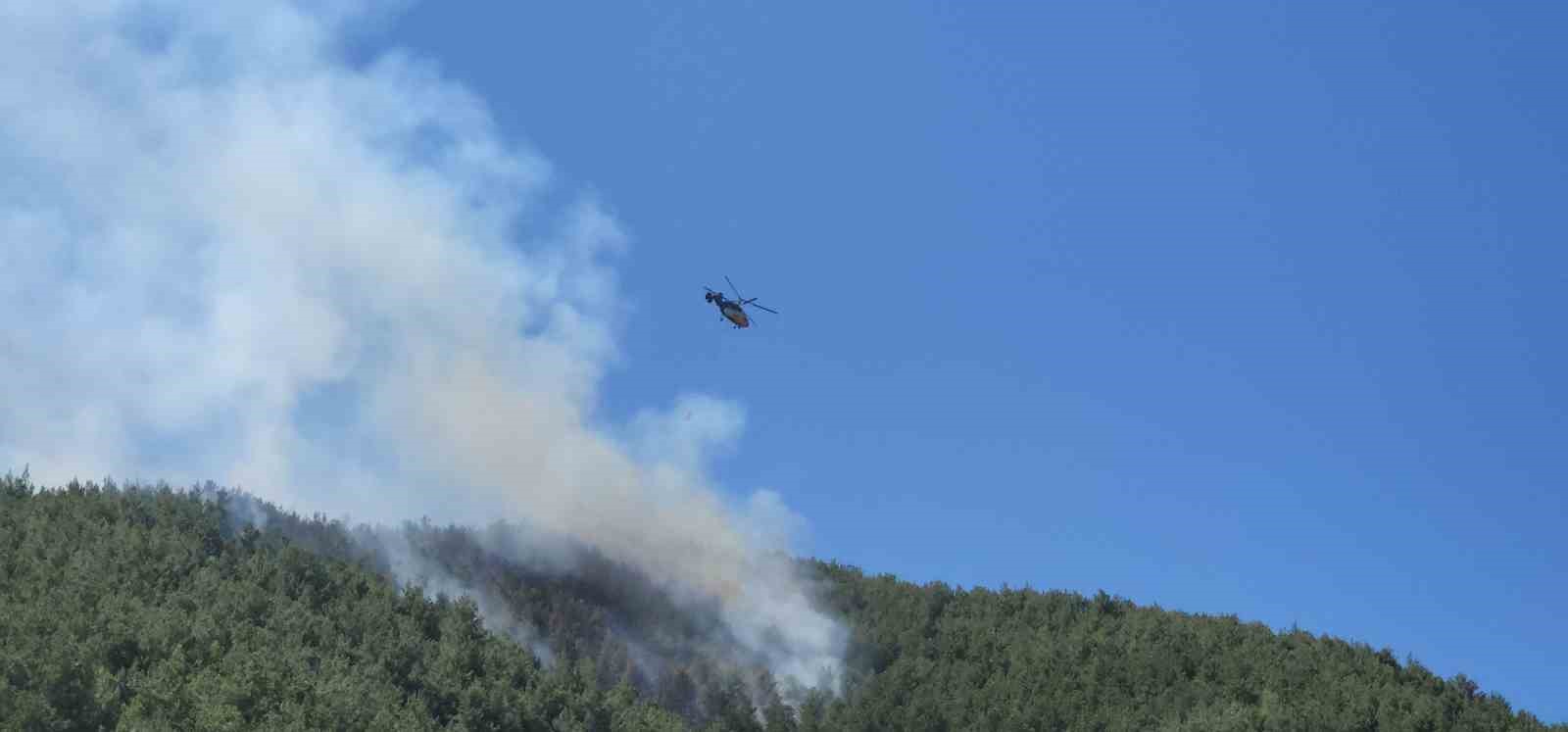 Hatay’da orman yangını havadan müdahaleyle kontrol altına alındı
